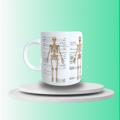 Anatomy CUP