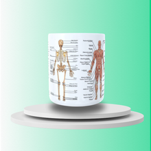 Carregar imagem no visualizador da galeria, Anatomy CUP
