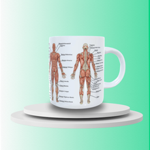 Carregar imagem no visualizador da galeria, Anatomy CUP
