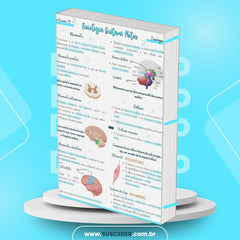 Fisiologia - Sistema Motor