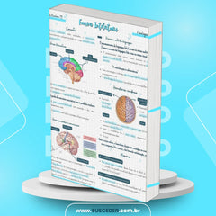 Fisiologia - Funções Intelectuais