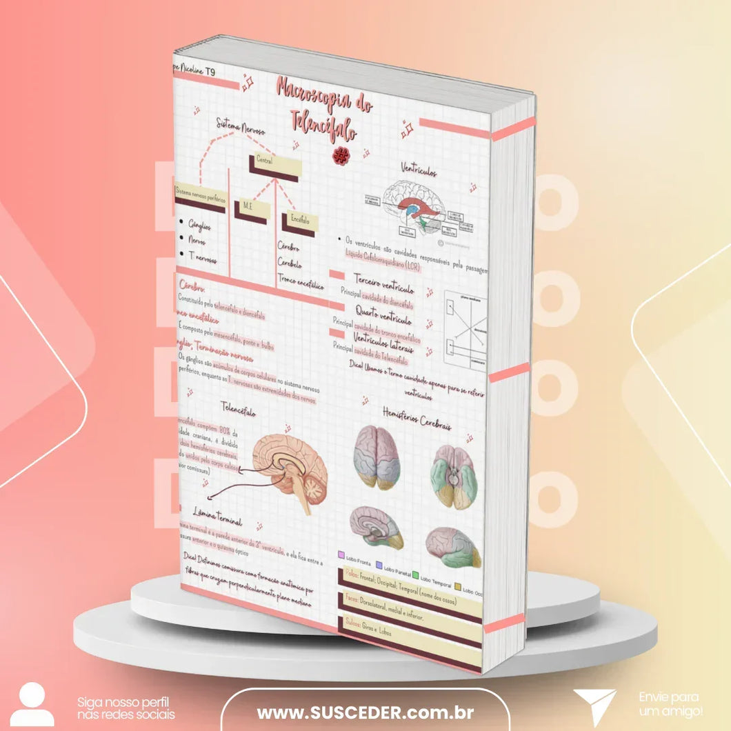 Resumo de Neuroanatomia