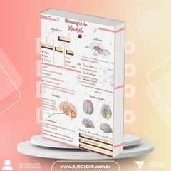 Resumo de Neuroanatomia